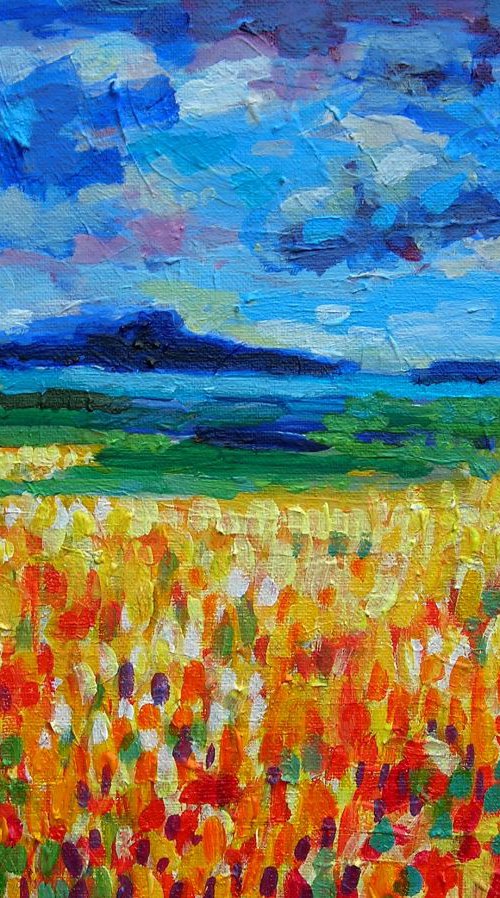 Yellow field by Maja Grecic