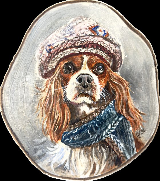 The Earl of Knitwear