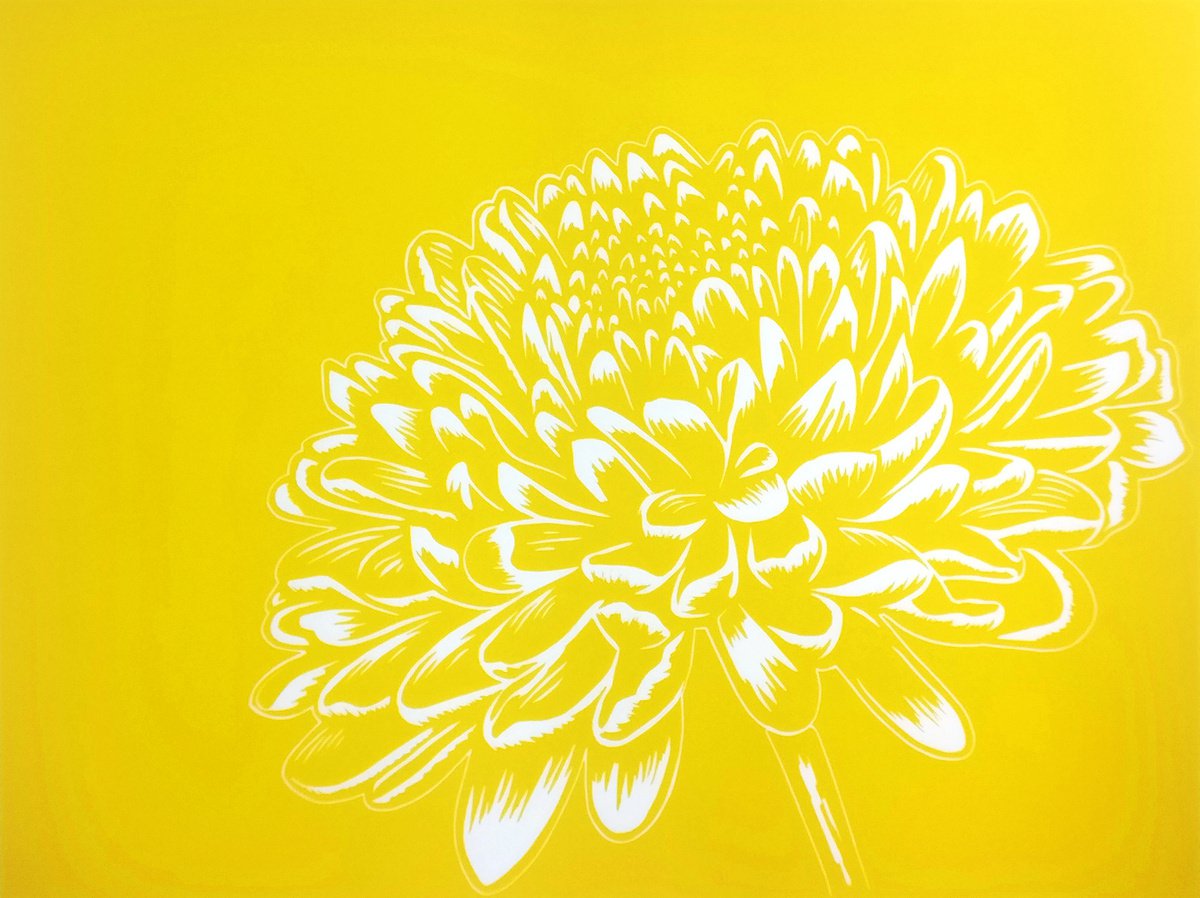 Chrysanthemum Yellow by TARA SLATER
