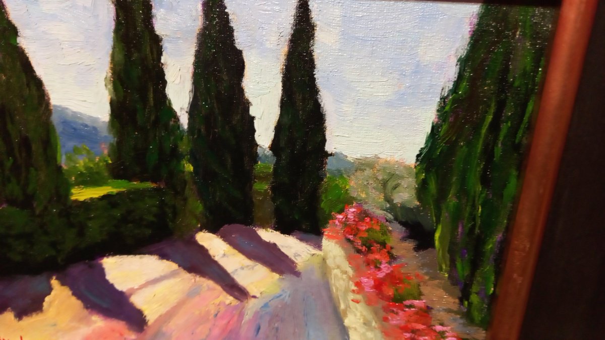Cypres Tree Alley By Andrea Bocedi, 15 X 12, Artwork For Sale On Artfinder