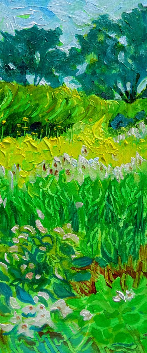 Country House Garden by Mary Kemp
