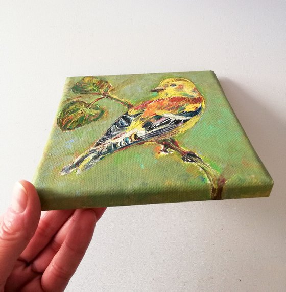 Birds' Stories