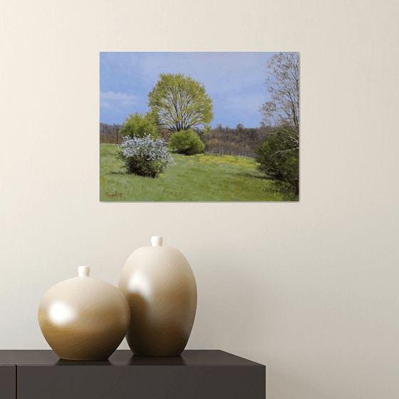 Meadow on the Hill in Spring