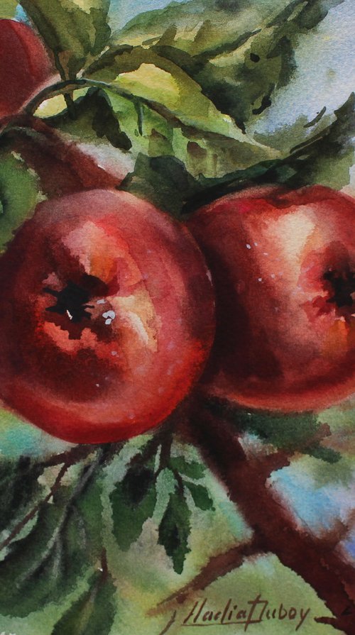 Apples. Original artwork . by Nadiia Dubei