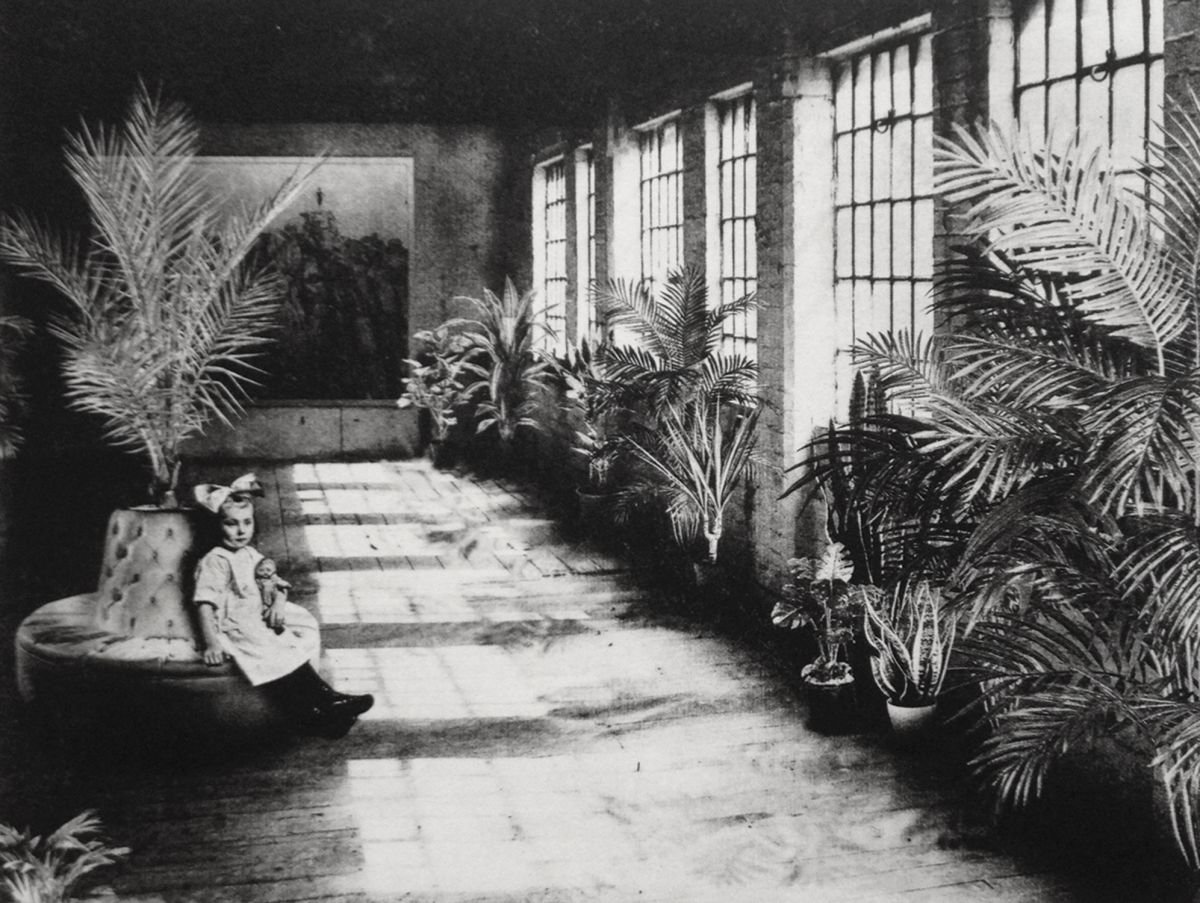 Botanical Etchings & Engravings By Jaco Putker, 13 X 10, Interior No.5, Original Artwork