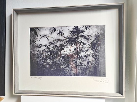 (FRAMED) The power of simplicity II