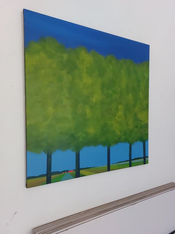 Trees in the polder