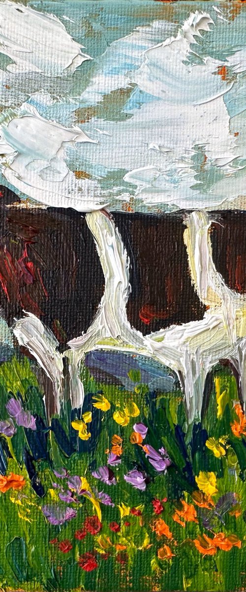 A cow in a field by Oksana Fedorova