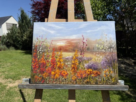 A meadow in bloom