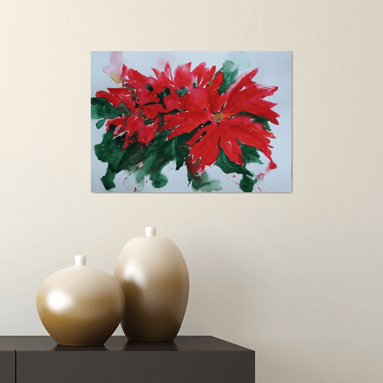 Poinsettia expression