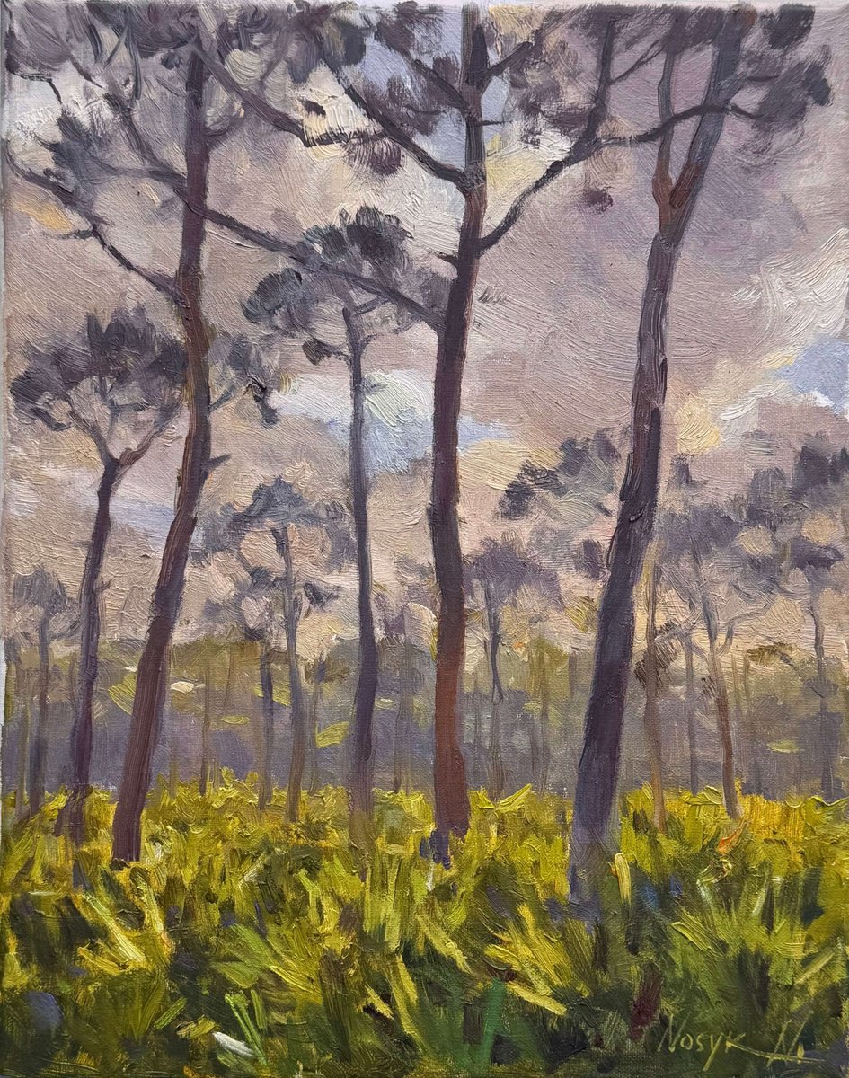 Whispering Pines, Florida By Nataliia Nosyk, 11 X 14, Artwork For Sale On Artfinder