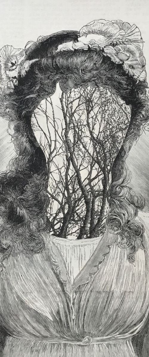 Anatomy by Tudor Evans