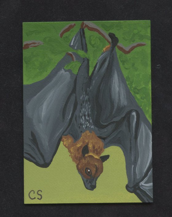 ACEO ATC Original Miniature Painting Flying Fox Bat Wildlife Art-Carla Smale