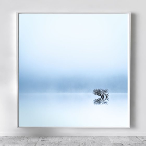 Lost in the Mist  - Solitary Tree Canvas, Extra large blue canvas