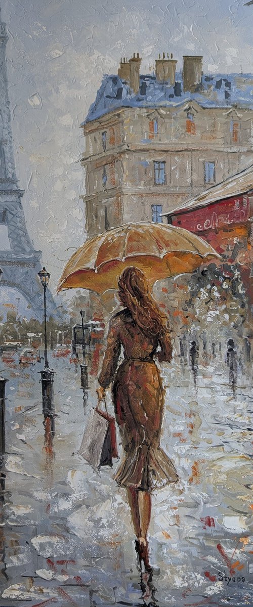 Rainy Day in Paris by Stepan Ohanyan