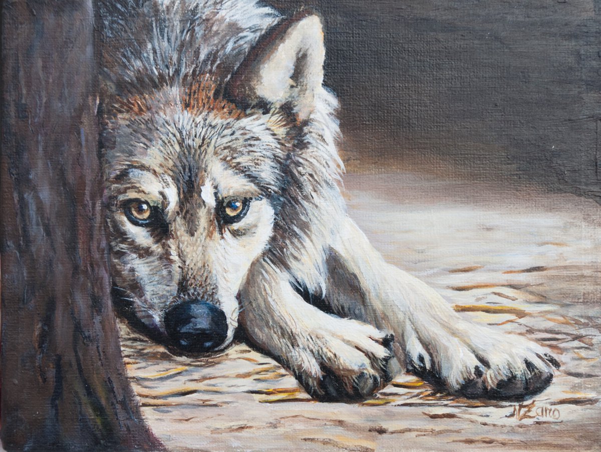 Wolf by Norma Beatriz Zaro