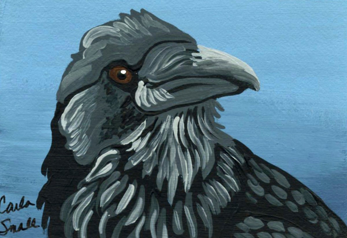 Crow Raven by Carla Smale