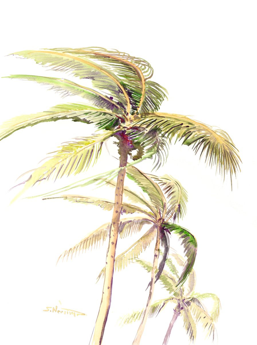Wind. coconut palms by Suren Nersisyan