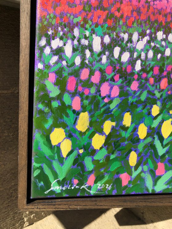 Sunset over tulips field