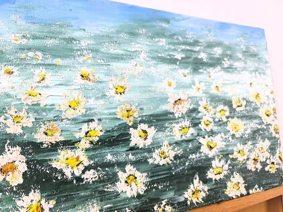 Daisies 1