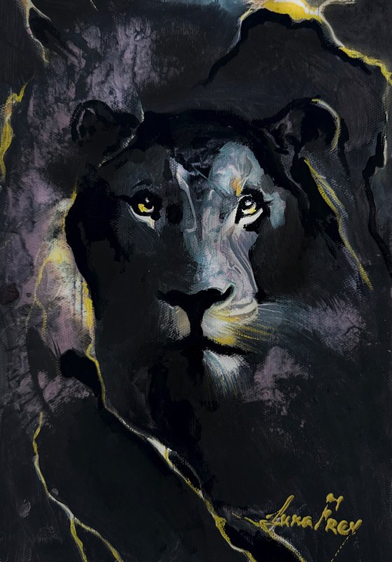 When the Night Opens Its Eyes