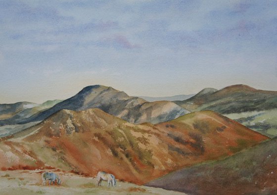 Long Mynd Hills