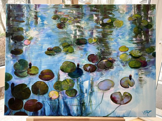 Water Lilies At Sunset 5