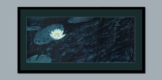 Nocturne for a Water Lily