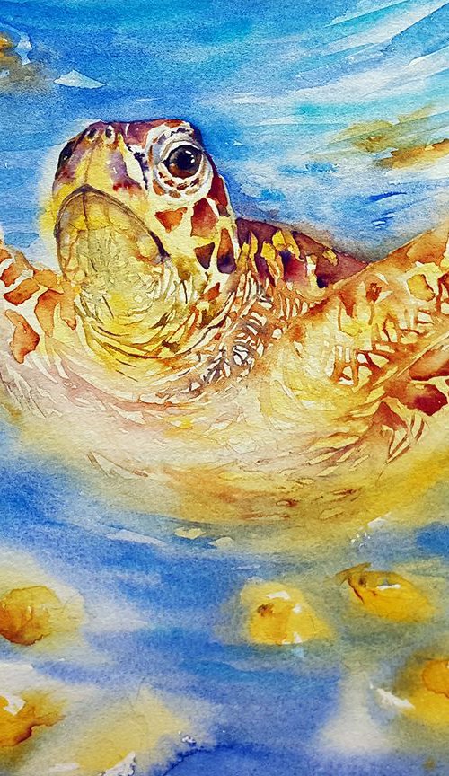 Sea Turtle Seb by Arti Chauhan