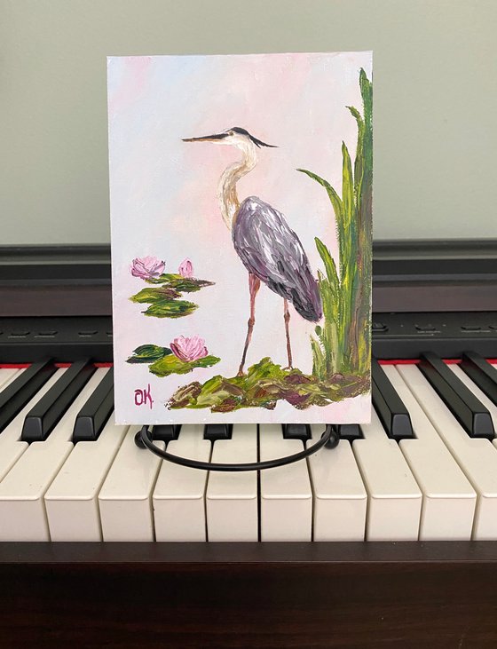 Pond story