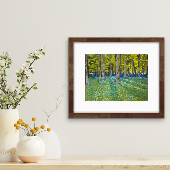 Bluebell Woods