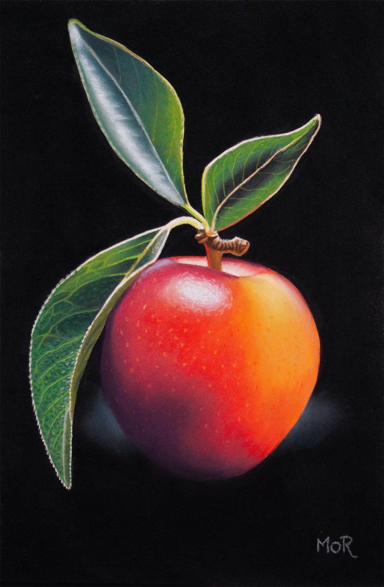 Photorealistic Still Life Pastel Drawing By Dietrich Moravec, 8 X 12, Scarlet Show-Off, Original Artwork