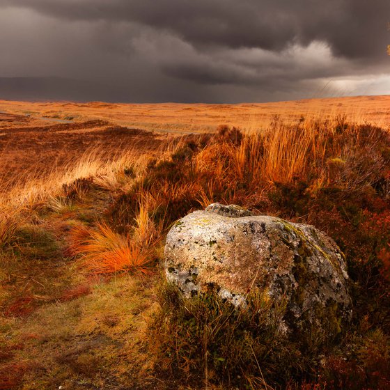 Burnished Horizons