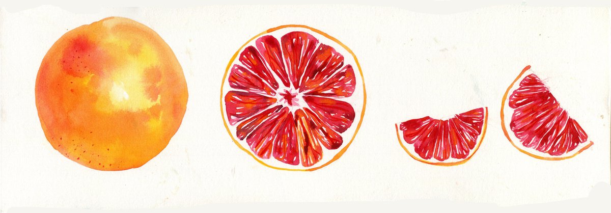 Grapefruit by Hannah Clark