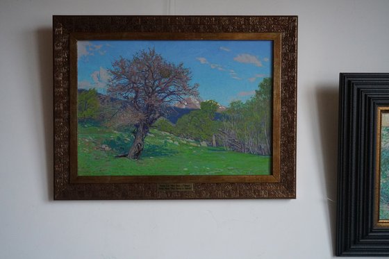 May. Spring in Teberda