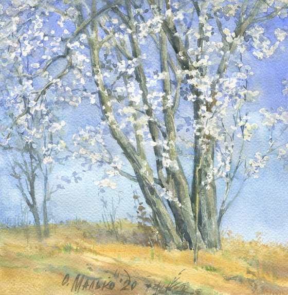 Blossoming tree on the sky background / Flowering wild plum tree White blue watercolor
