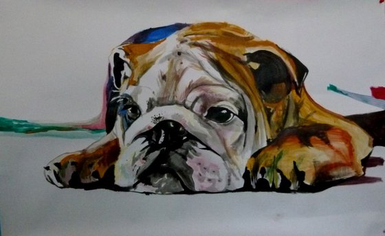 bulldog