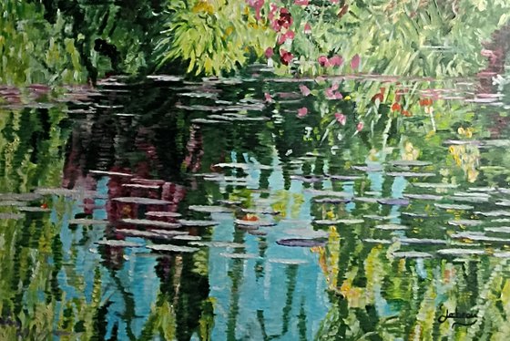 Waterlilies and reflections