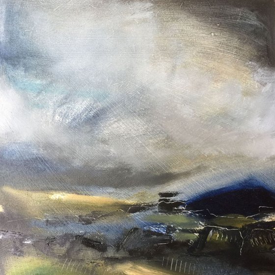 A stormy day on the moor
