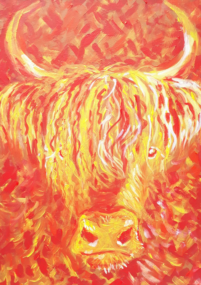 Highland cow by Marily Valkijainen
