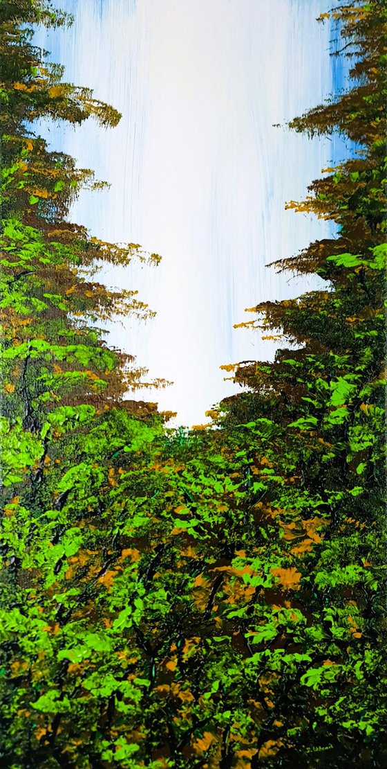 Nice Forest 3