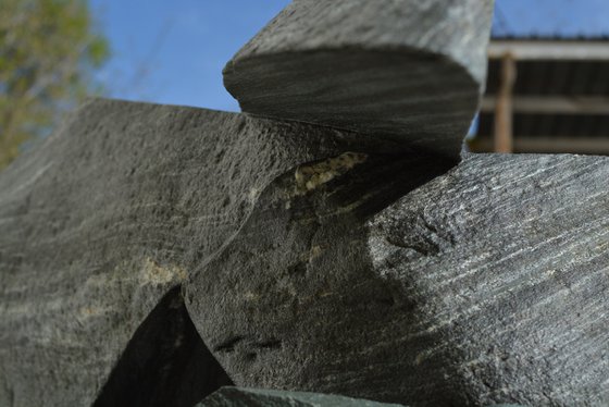 "Particular Insight"