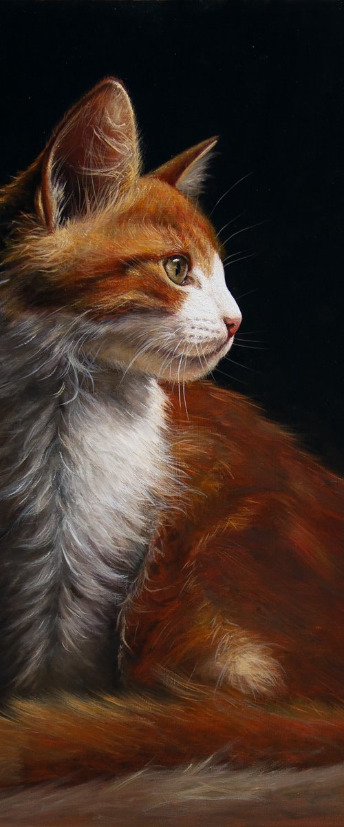 Melisende (Cat) by Mayrig Simonjan