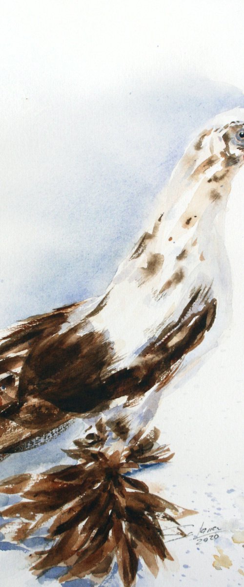Dove I - Animal portrait /  ORIGINAL PAINTING by Salana Art Gallery