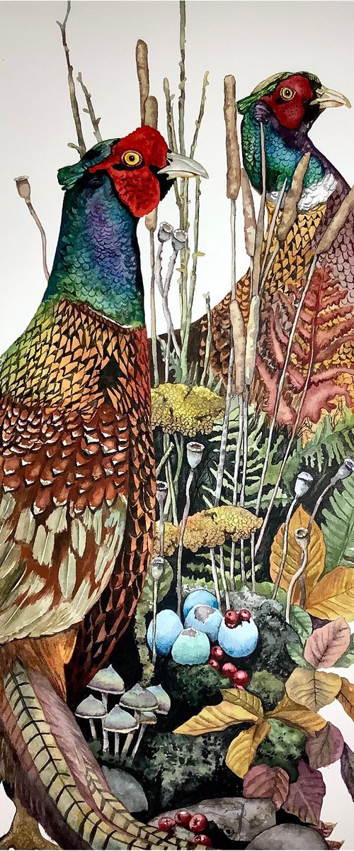 Pheasants by Lisa Lennon