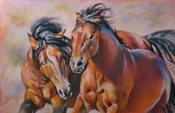 Wild horses II