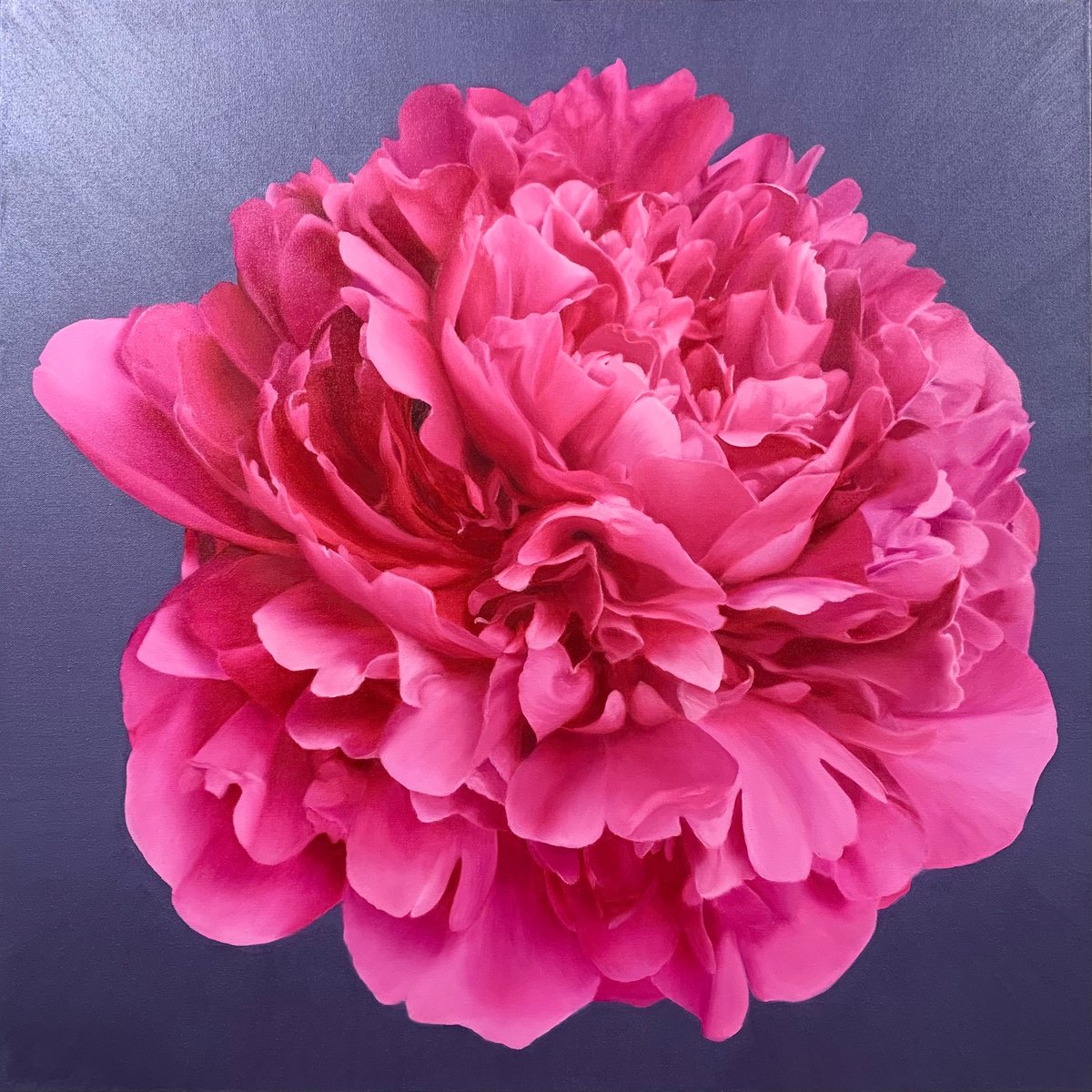 Photorealistic Botanical Oil Painting By Alla Kallass, 36 X 36, Magenta Delight. Peony, Original Artwork