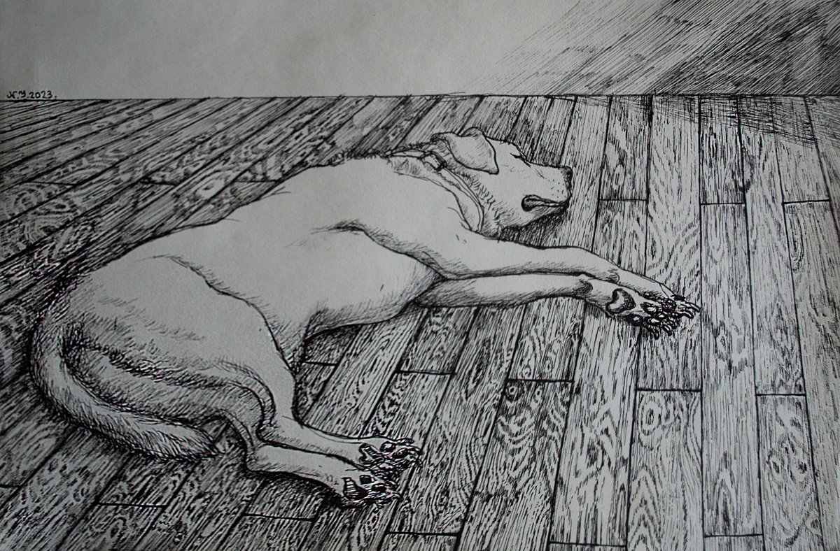 Photorealistic Ink Drawing , Dreaming By Nikola Ivanovic, 12 X 8, Artwork For Sale On Artfinder