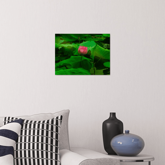 The Lotus Flower (Framed)