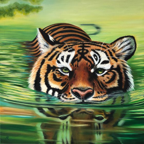 Tiger in The Water